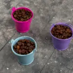 coffee grounds fertilizer for houseplants Czech home