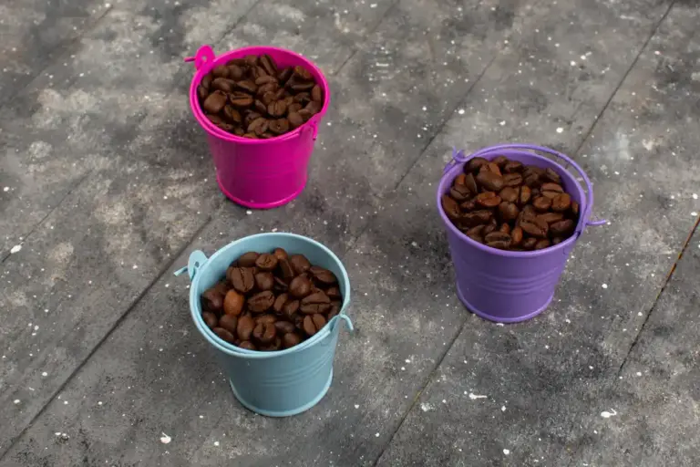 coffee grounds fertilizer for houseplants Czech home