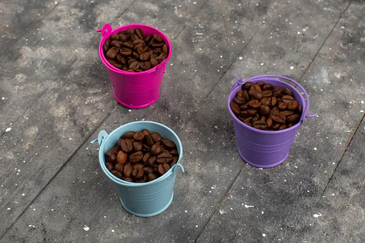 coffee grounds fertilizer for houseplants Czech home