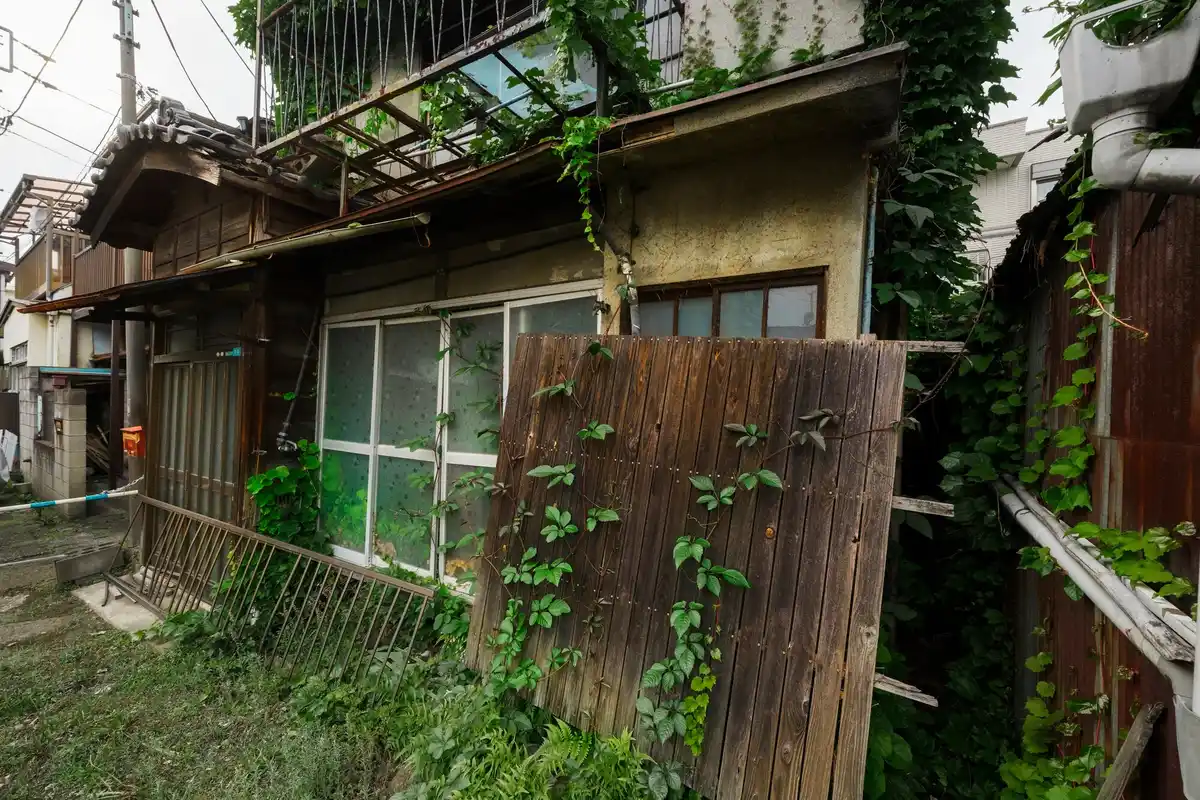 DIY greenhouse made from old windows and recycled materials in small Czech garden