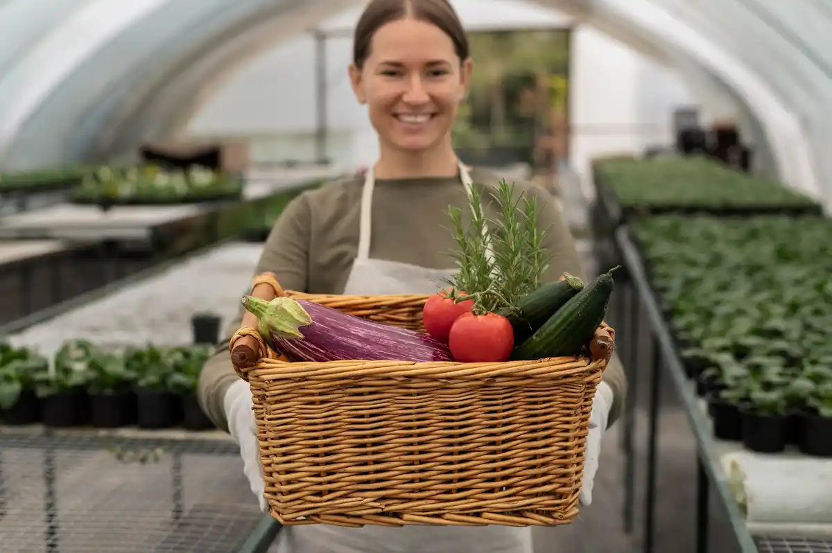 Fresh homegrown vegetables in rustic homemade Czech greenhouse
