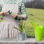 natural garden fertilizer, Czech garden spring