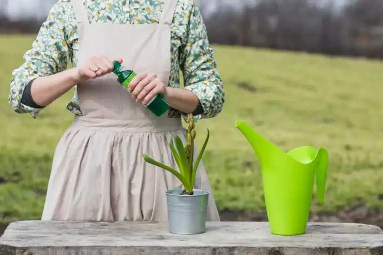 natural garden fertilizer, Czech garden spring