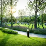 czech modern garden moss lawn