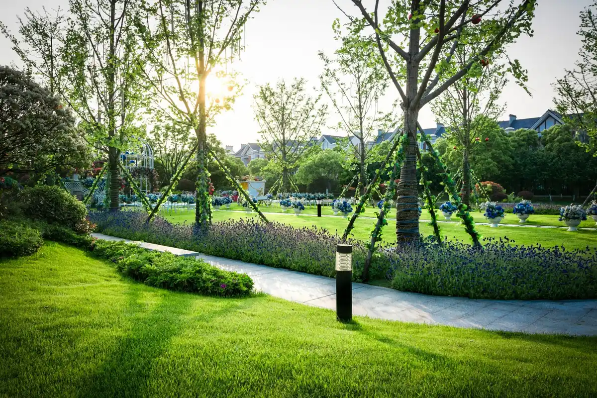 czech modern garden moss lawn