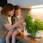 sunlight vs led grow light indoor plants comparison