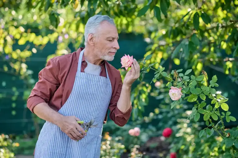 senior natural fertilizers czech village garden