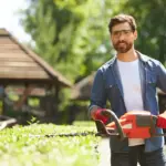 young Czech gardener mulching organic garden straw
