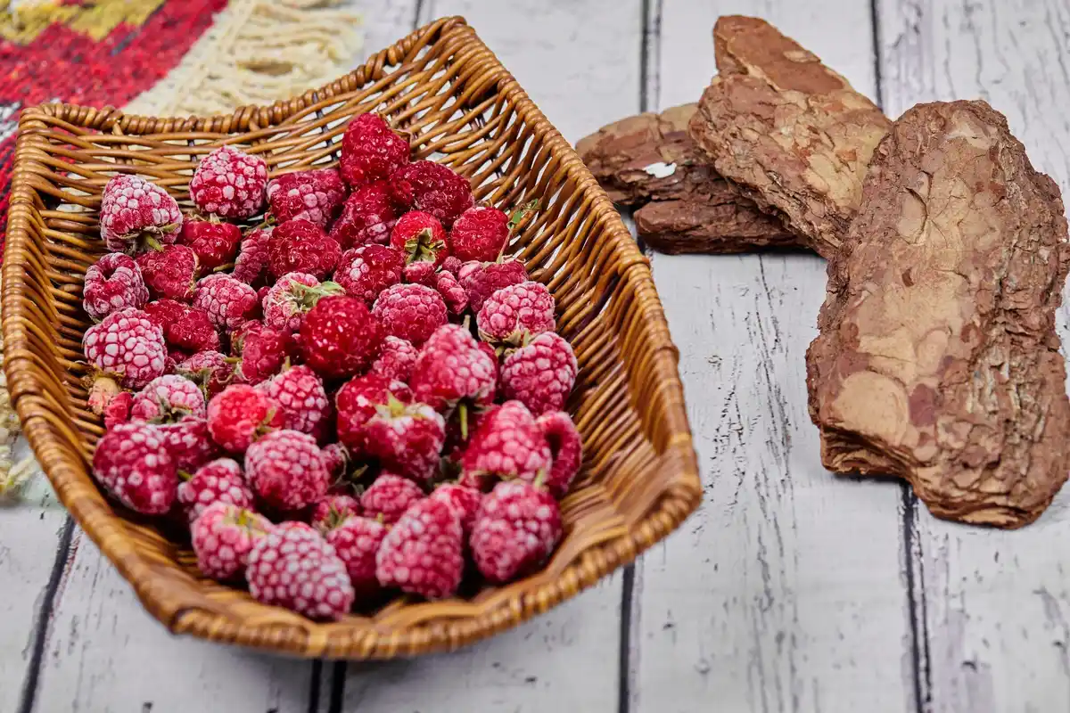 Czech raspberry bush autumn pruning problem