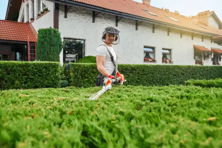 modern cordless garden multitool czech garden backyard
