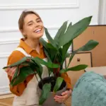 houseplants air purification real home Czech interior