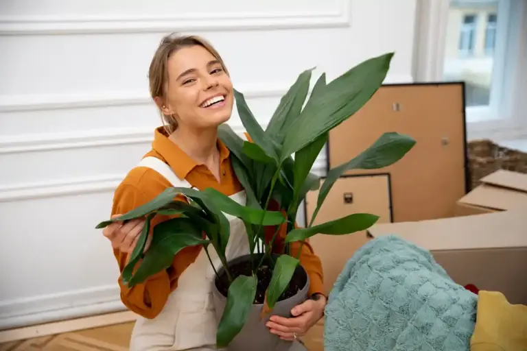 houseplants air purification real home Czech interior