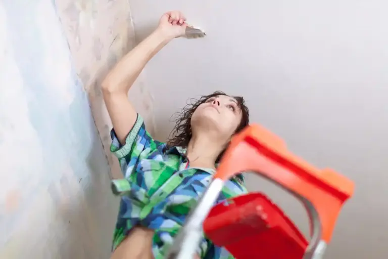 mold removal prevention czech apartment