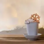 succulent care winter dry soil closeup window sill