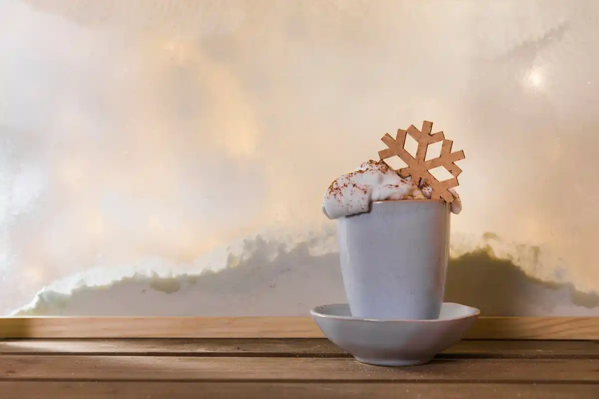 succulent care winter dry soil closeup window sill