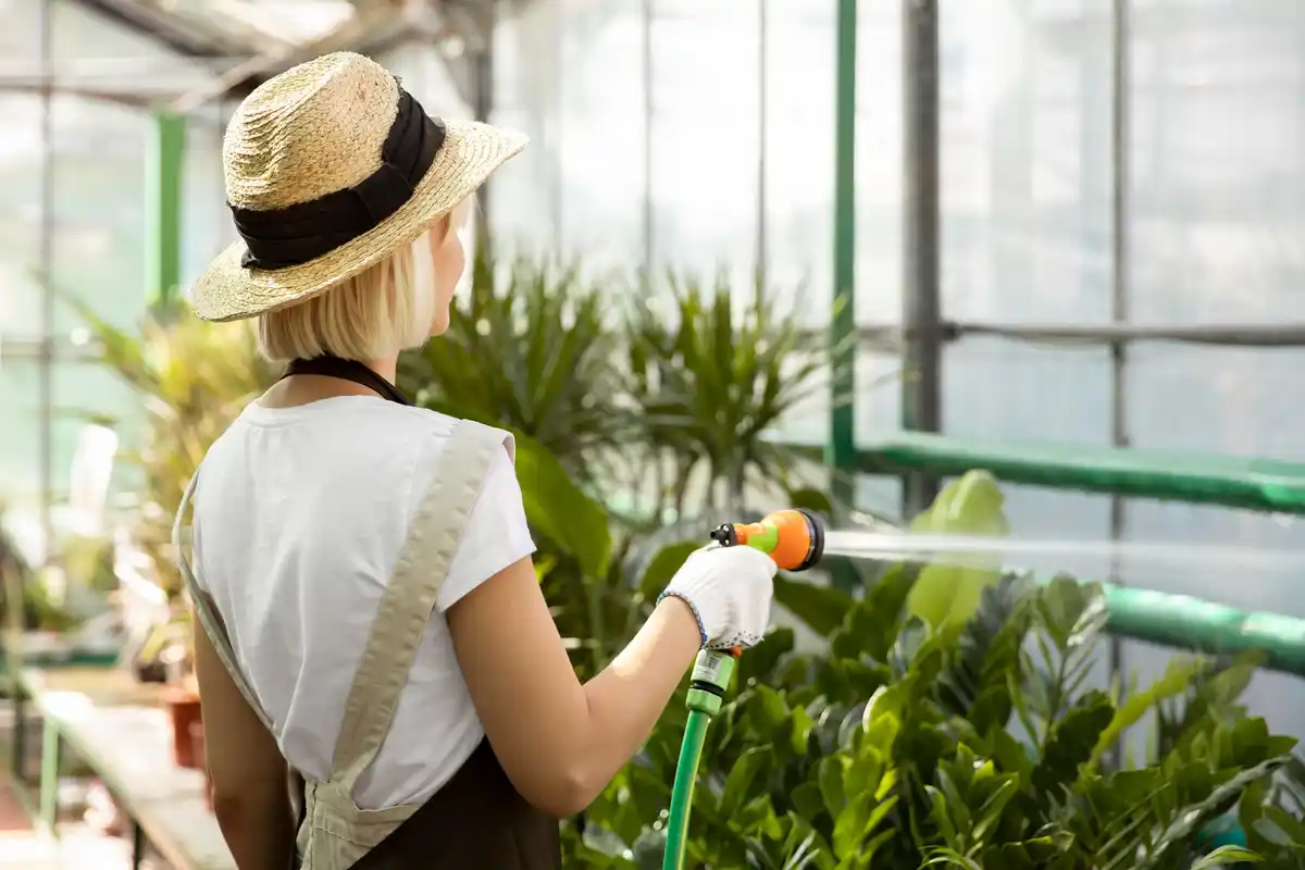 greenhouse condensation problem czech garden