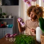 feng shui blooming house plants