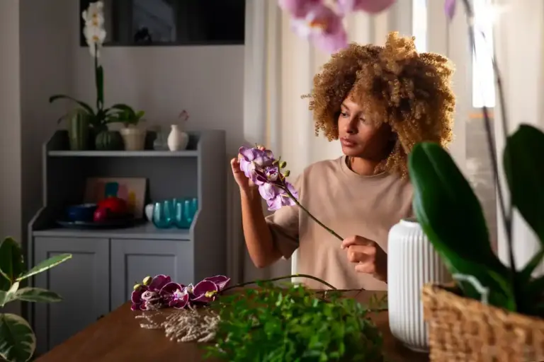 feng shui blooming house plants