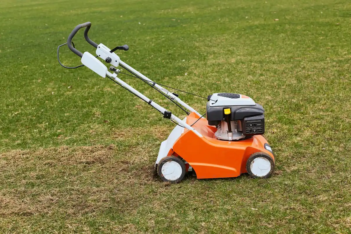 Cheap lawn mower destroying grass Czech garden