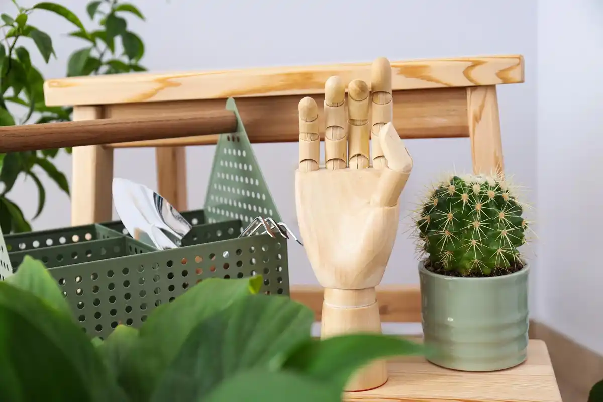feng shui plants placement home luck bad energy