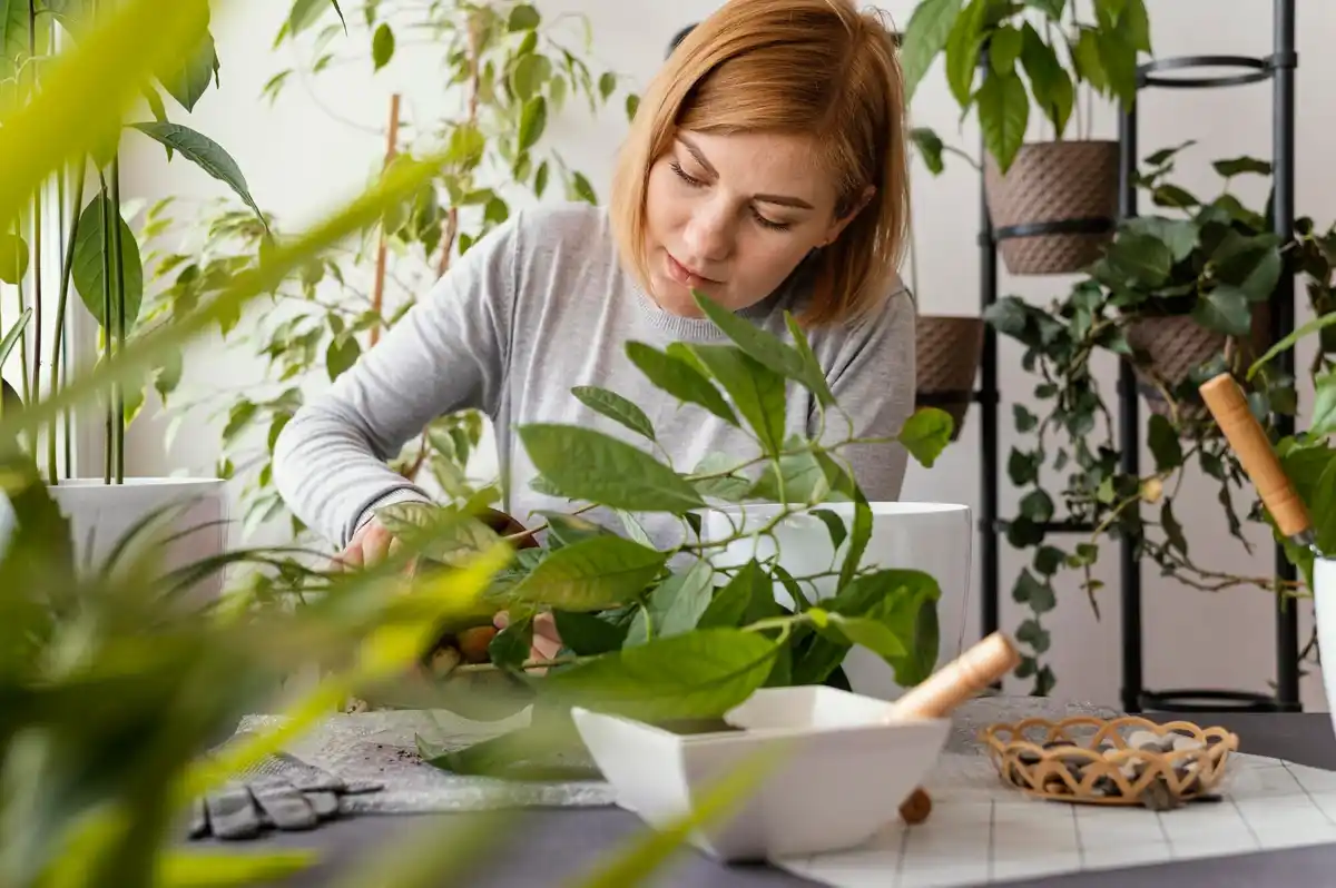 wrong room plants placement energy feng shui cz