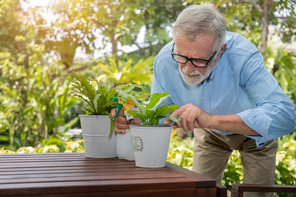 senior gardening raised bed spring