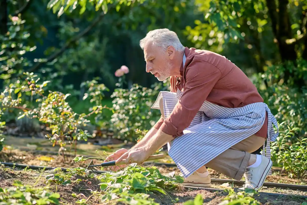 grandmother in czech garden with natural fertilizer