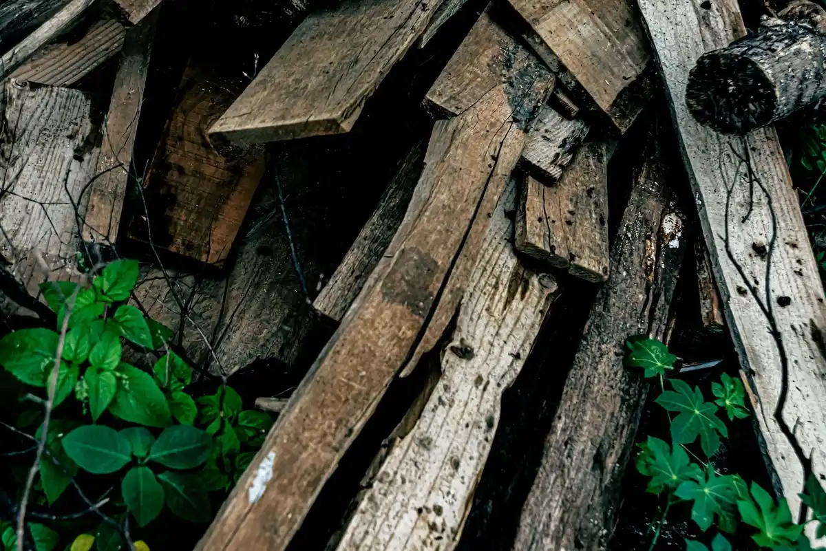 abandoned garden after stopping chemical fertilizers