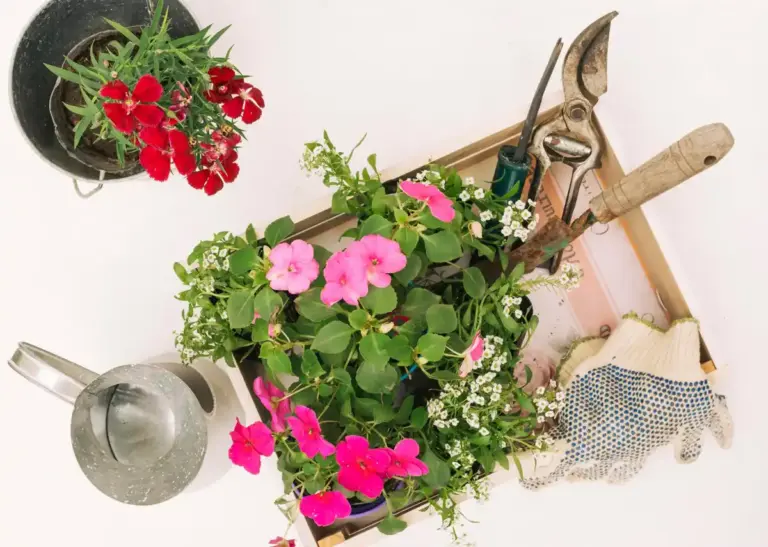 reuse old spring flower bulbs home garden czech