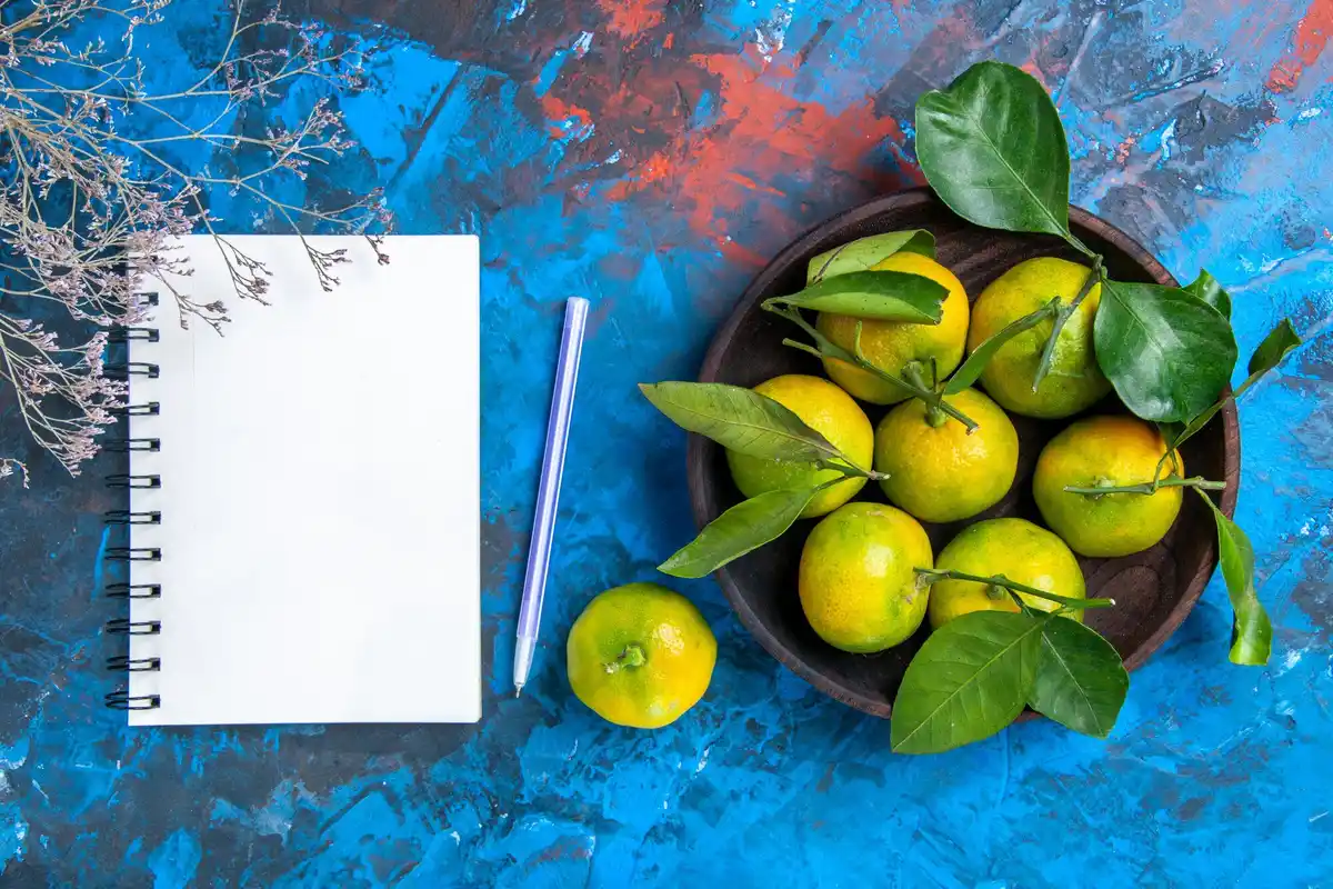 lemon peel fertilizer for houseplants