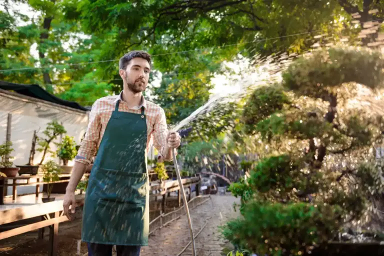 czech gardener watering young tree park