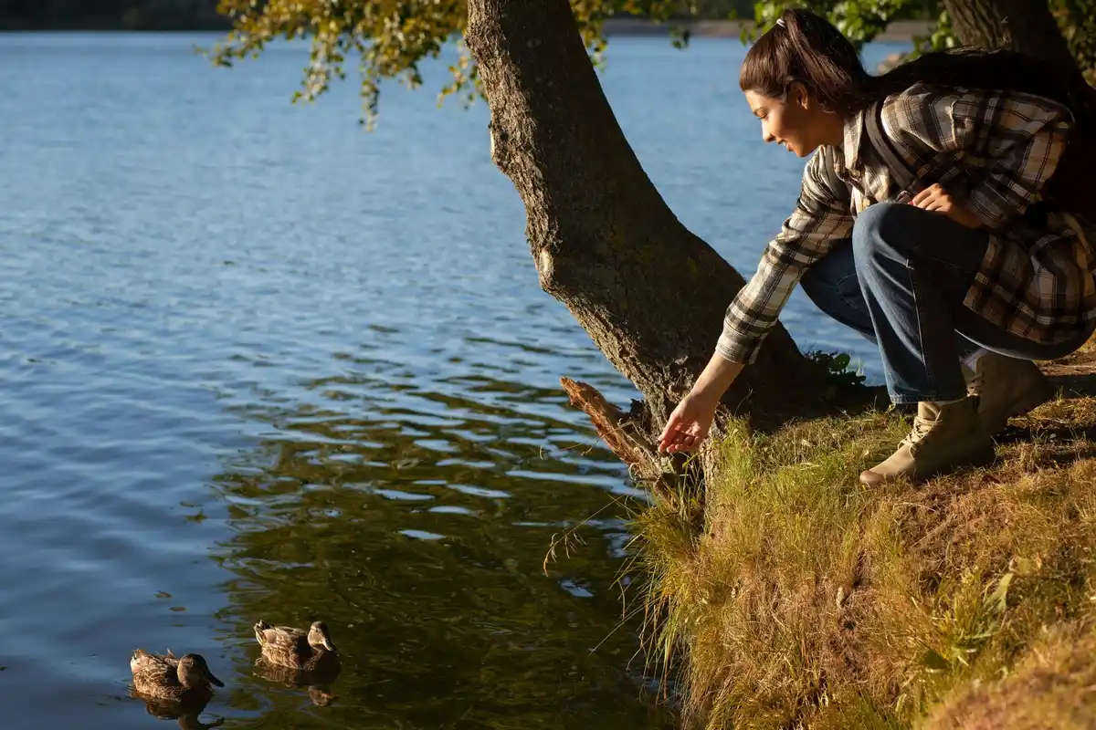 watering young tree in czech park