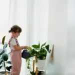 dangerous indoor plants children czech home