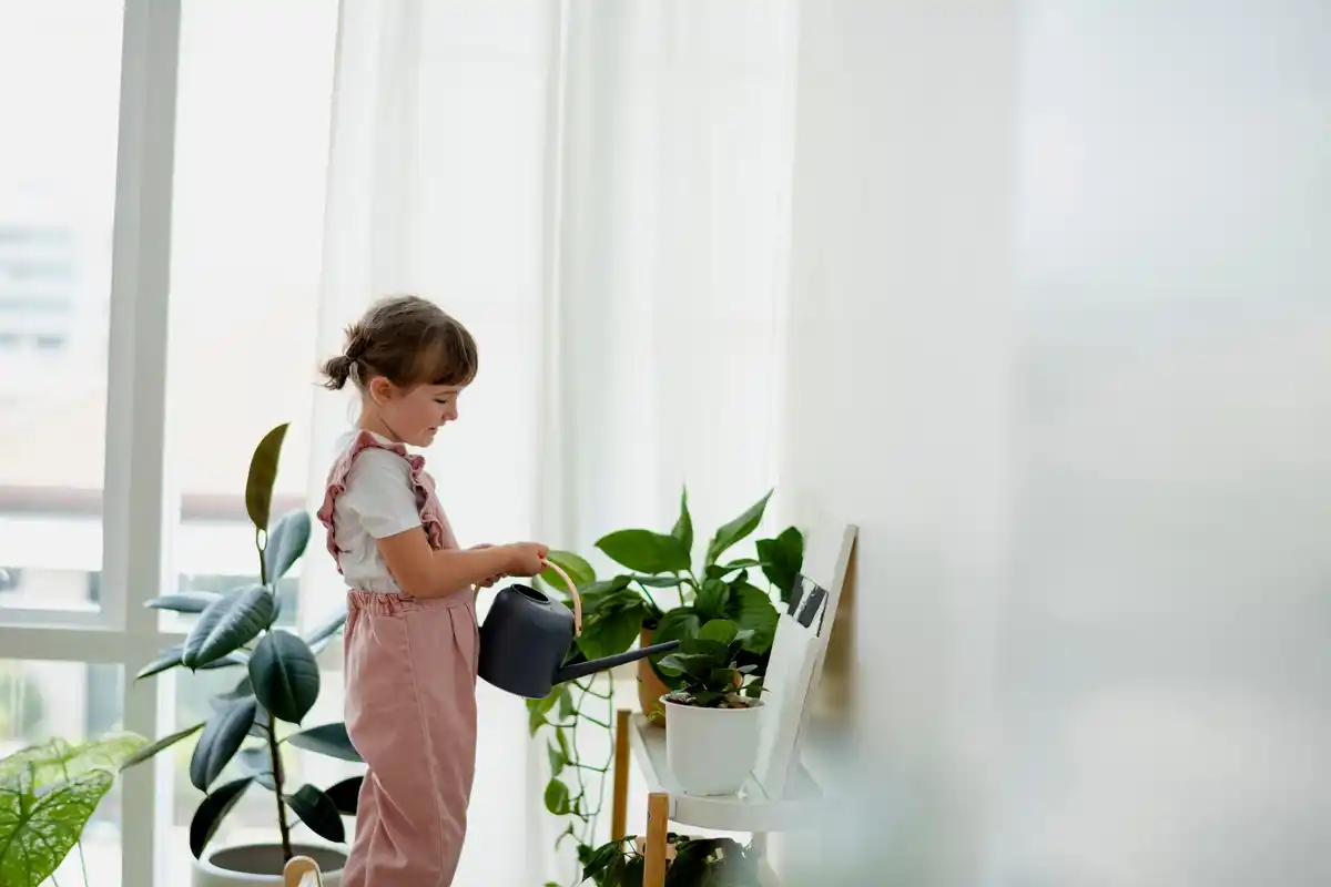 dangerous indoor plants children czech home