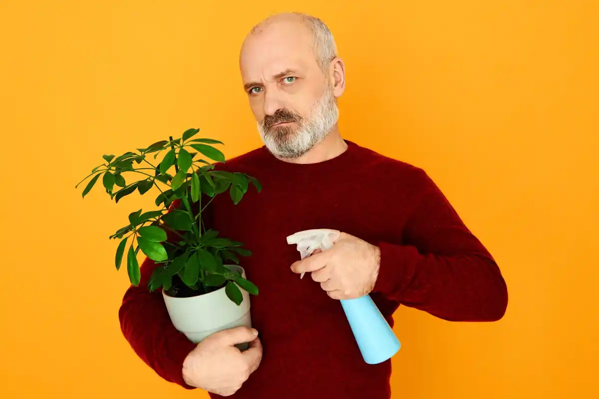 watering plants with cold water mistake