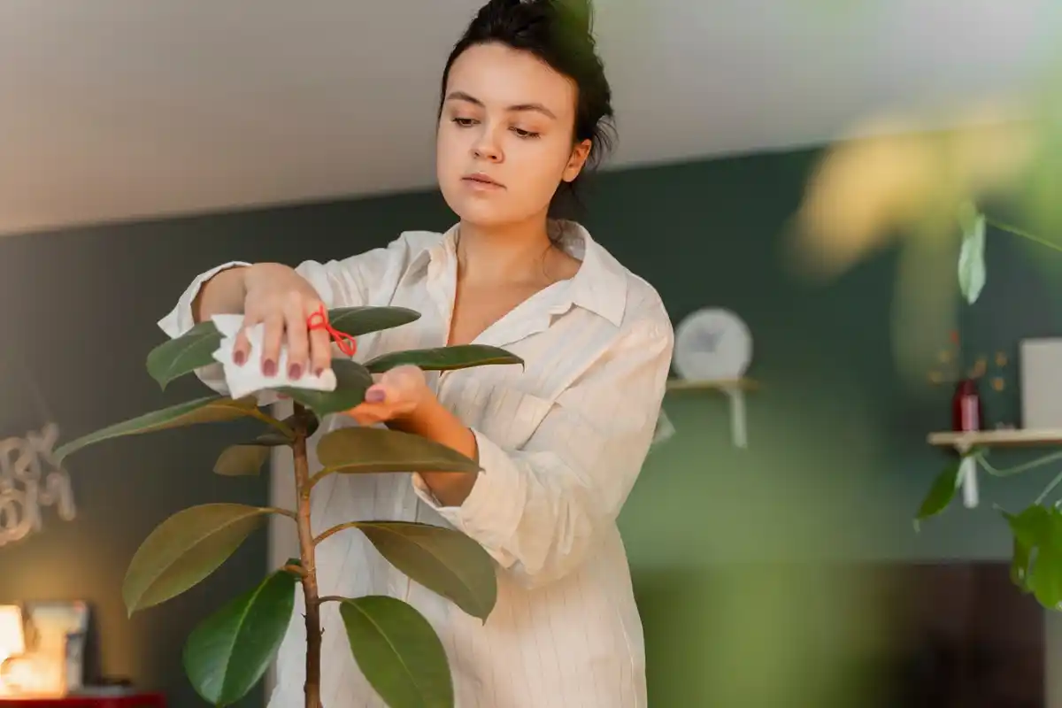watering houseplants temperature mistake