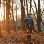 czech autumn garden no fertilizer