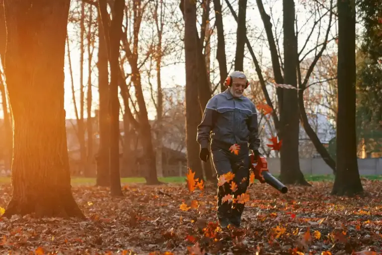 czech autumn garden no fertilizer