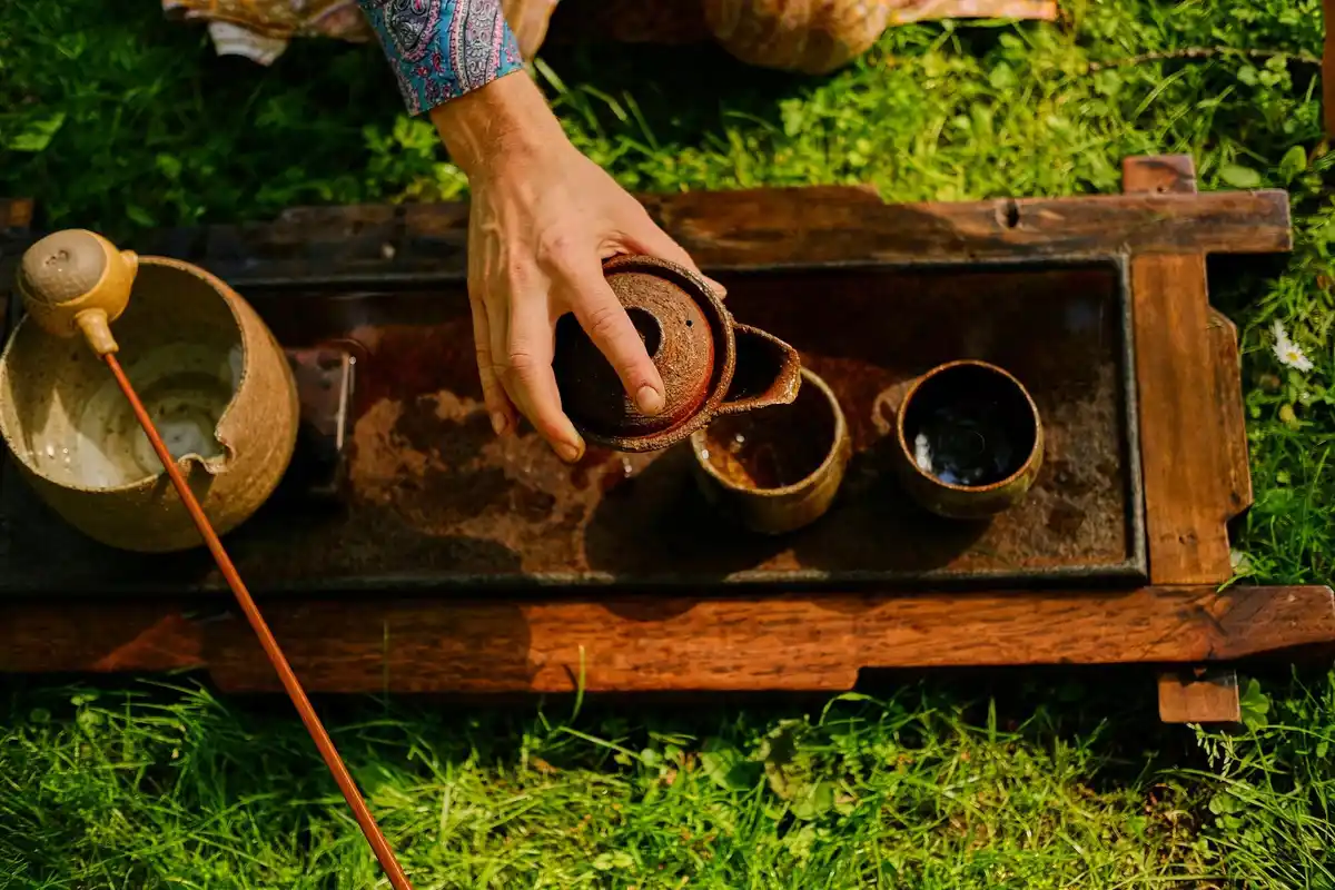 coffee grounds in garden Czech