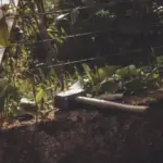 clay garden soil improvement czech backyard
