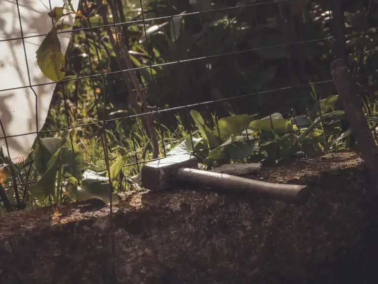 clay garden soil improvement czech backyard
