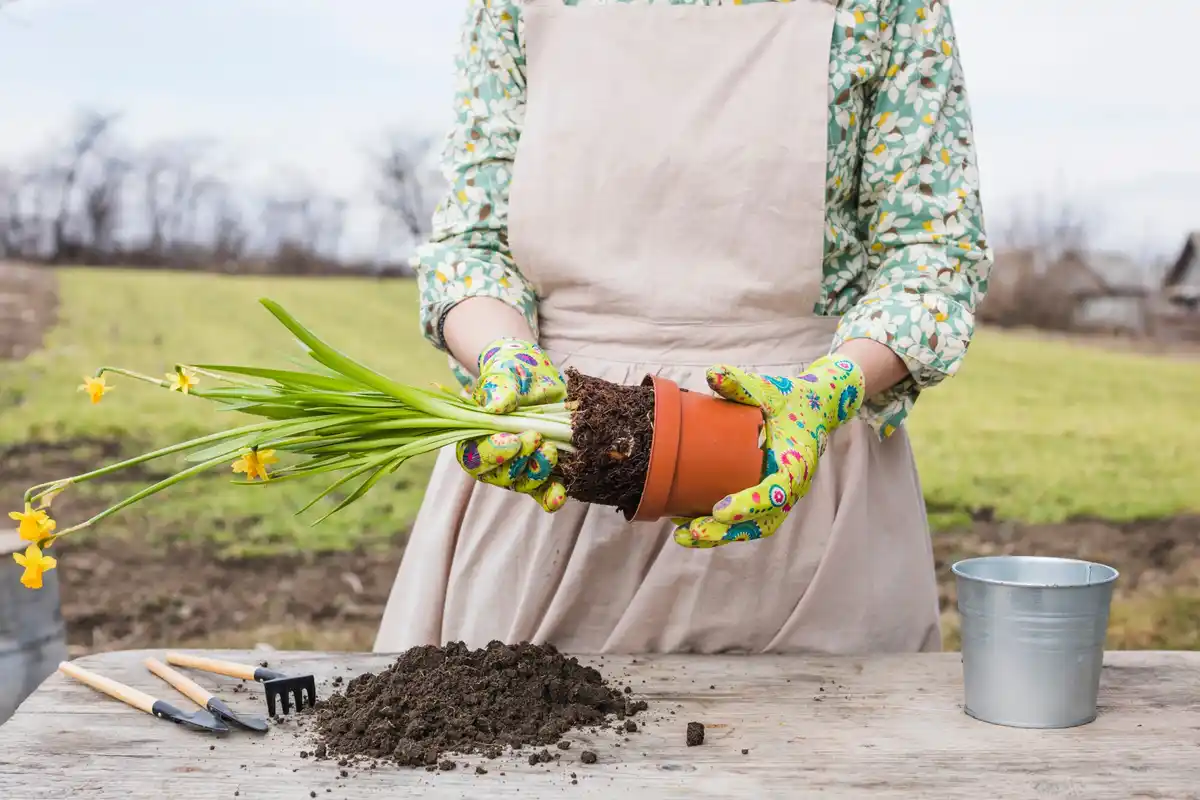 czech garden clay soil planting spring