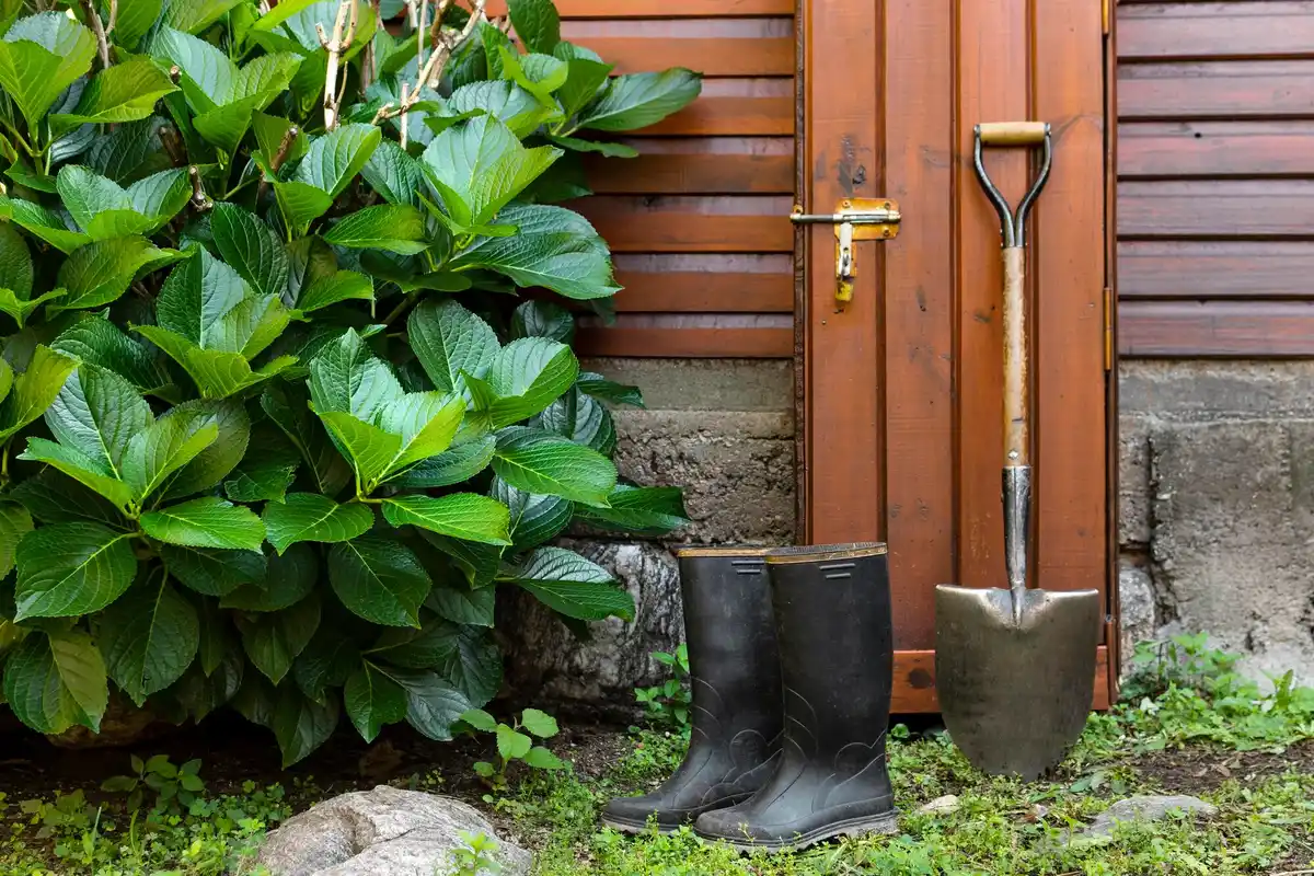 old garden tool forgotten in cold shed