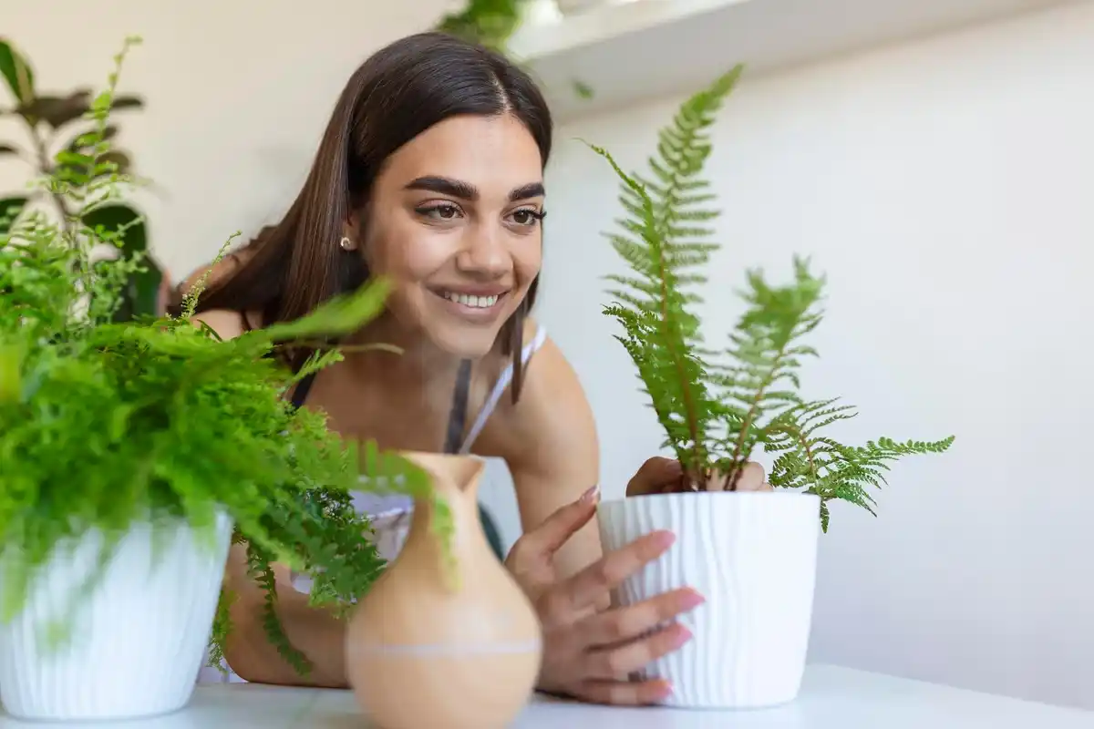 women over 50 enjoying indoor real plants Czech home