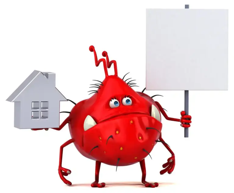 household pest first sign alert