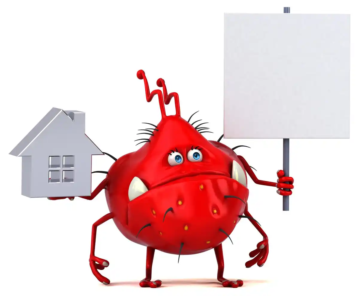 household pest first sign alert