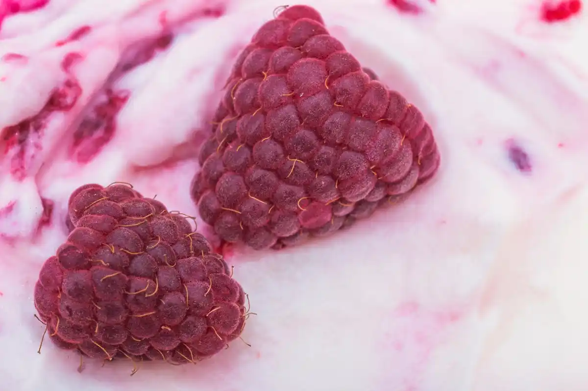 aphids on raspberry plant close up