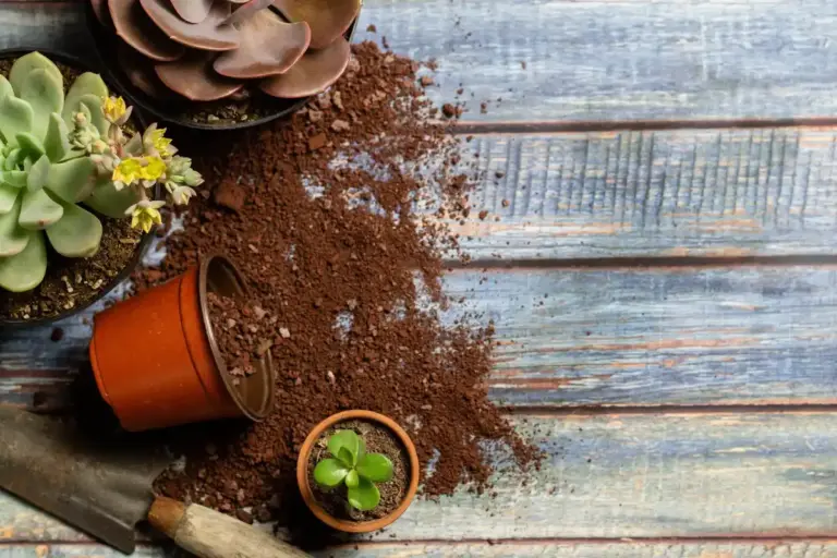 coffee grounds eggshell compost natural fertilizer home garden Europe
