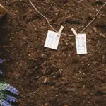 czech organic fertilizer garden soil eco