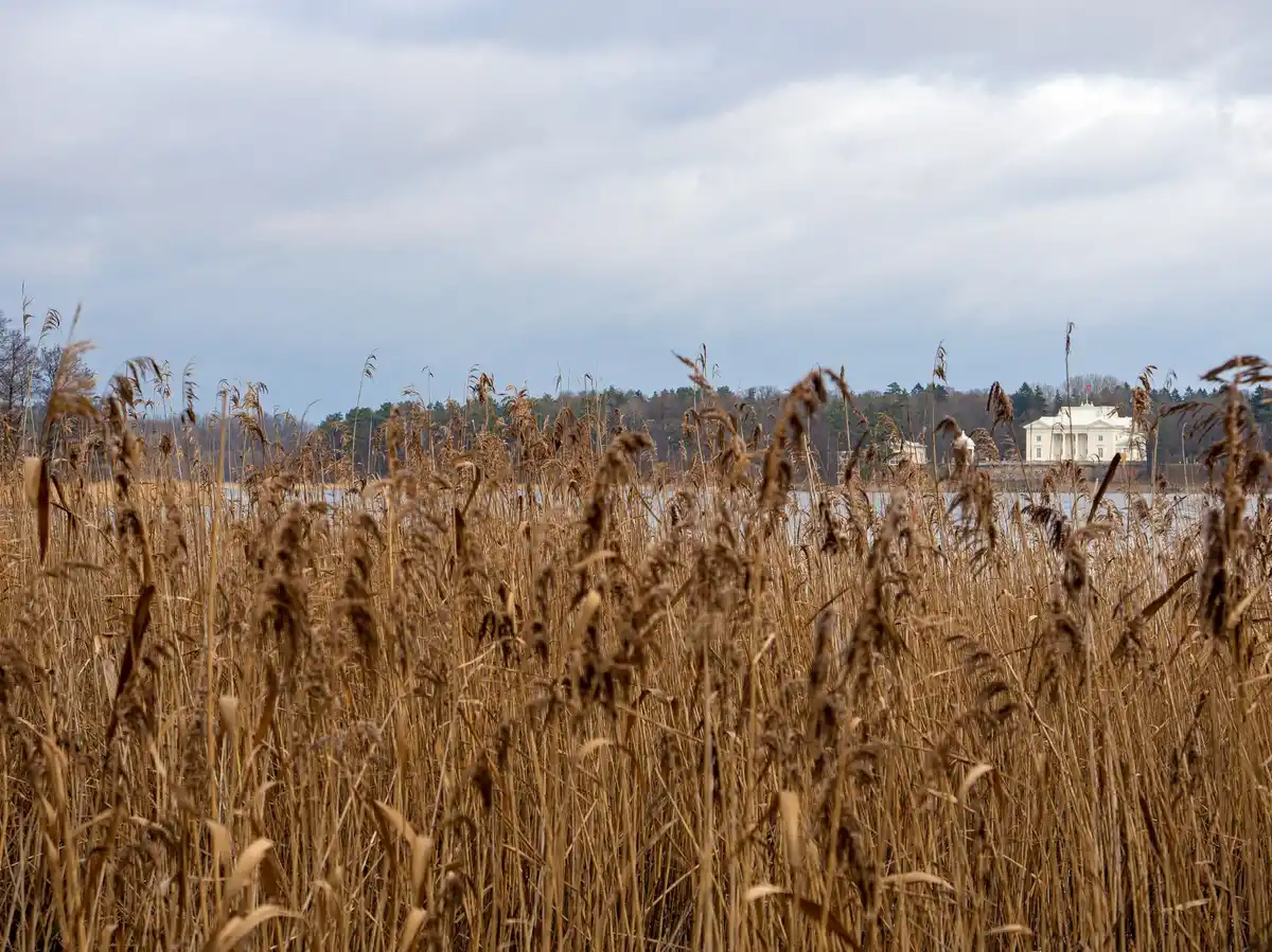 czech farm organic manure autumn